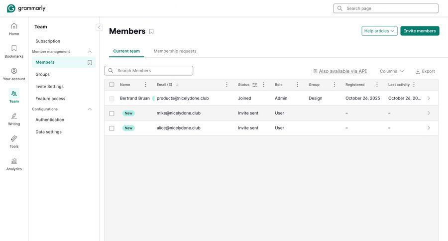 Grammarly screen example
