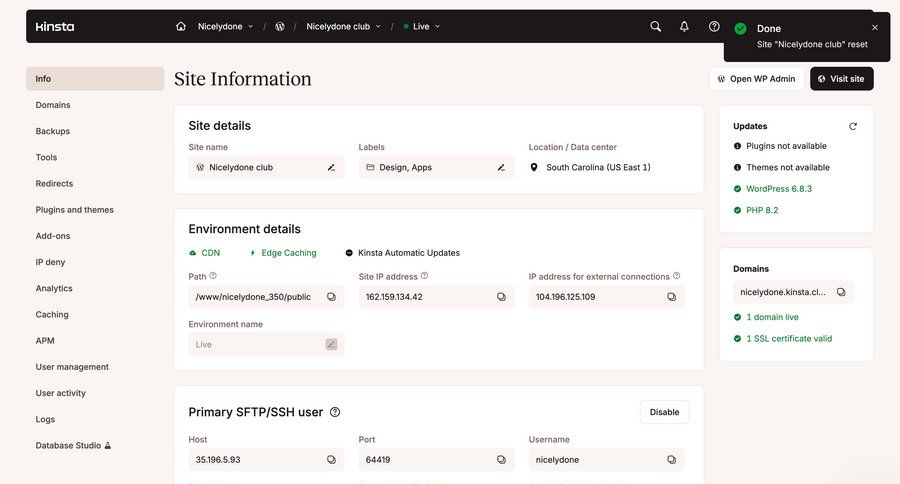 Kinsta screen example