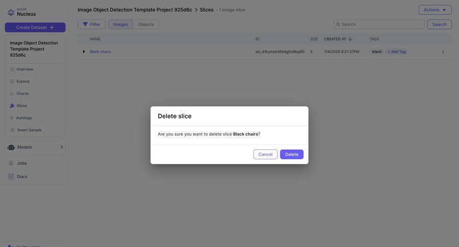 Scale
			 data management artificial intelligence confirmation cancel deletion ui page example