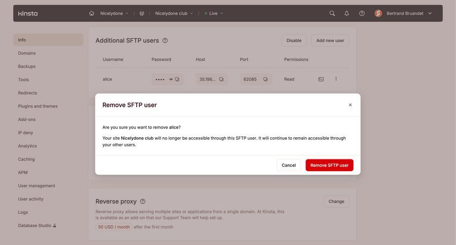 Kinsta screen example