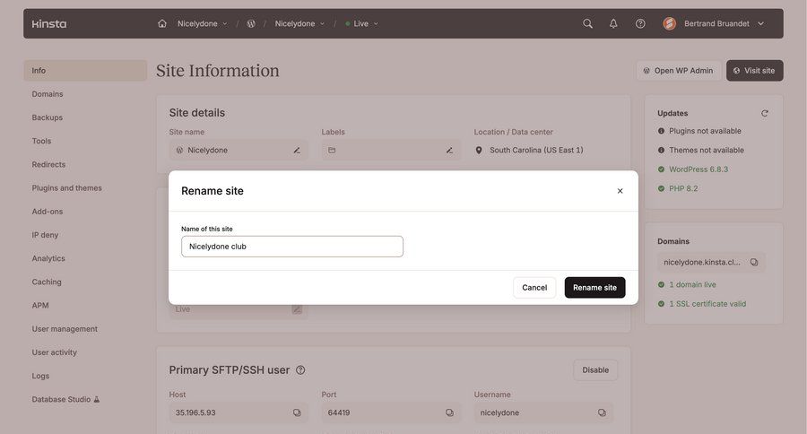 Kinsta screen example