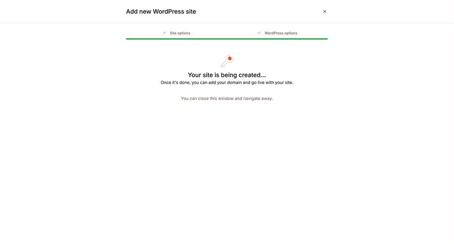 Kinsta screen example
