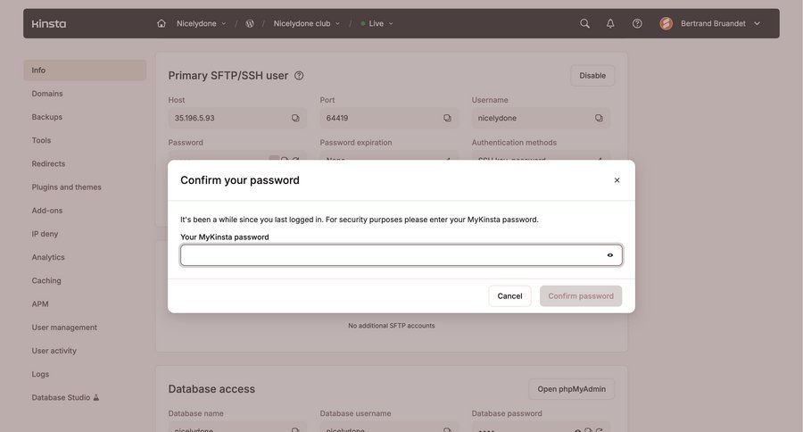 Kinsta screen example