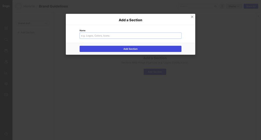 Lingo
			  ux ui design