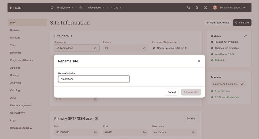 Kinsta screen example