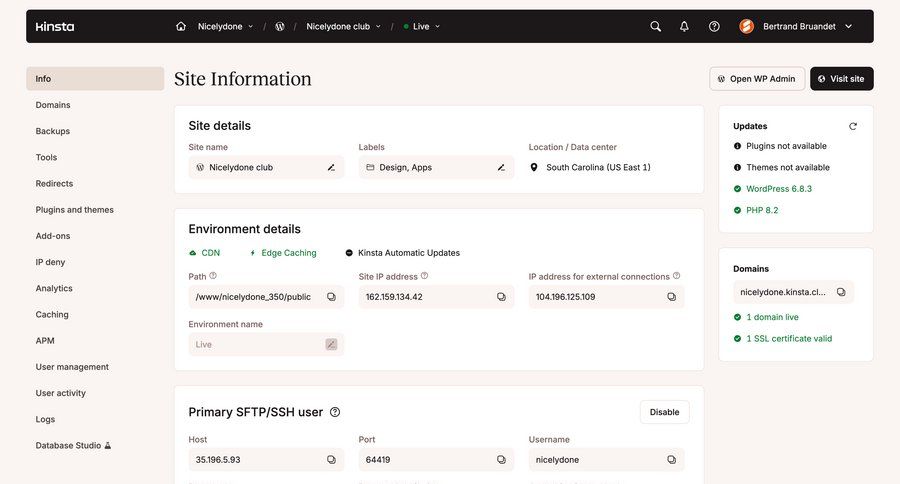 Kinsta screen example