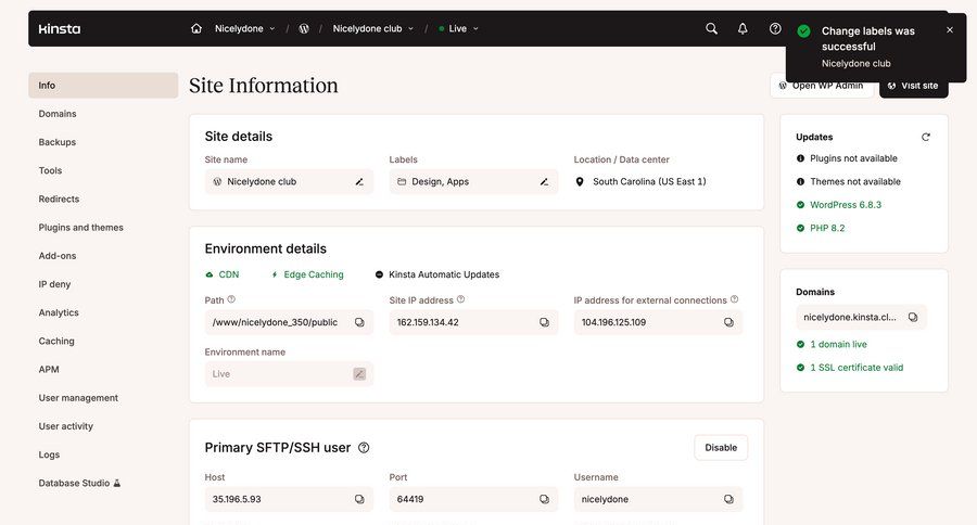 Kinsta screen example