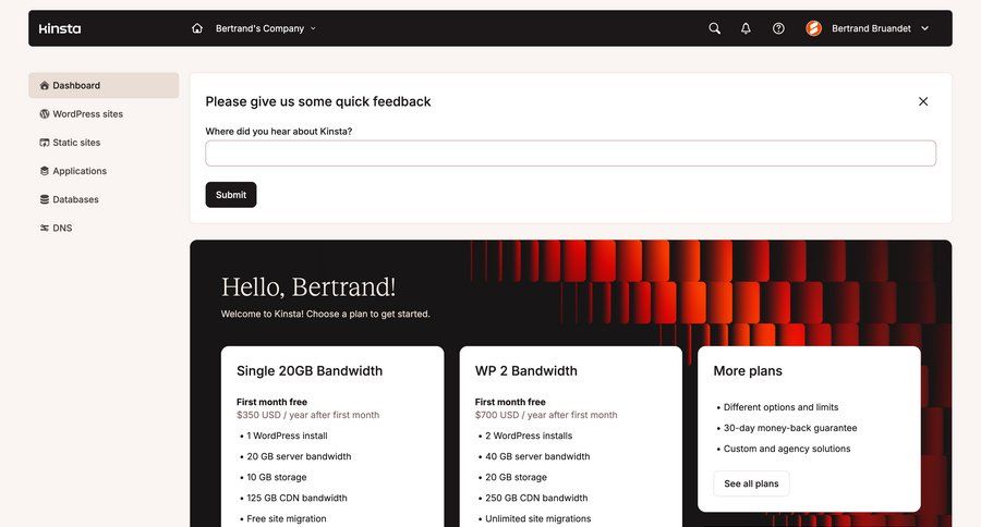 Kinsta screen example