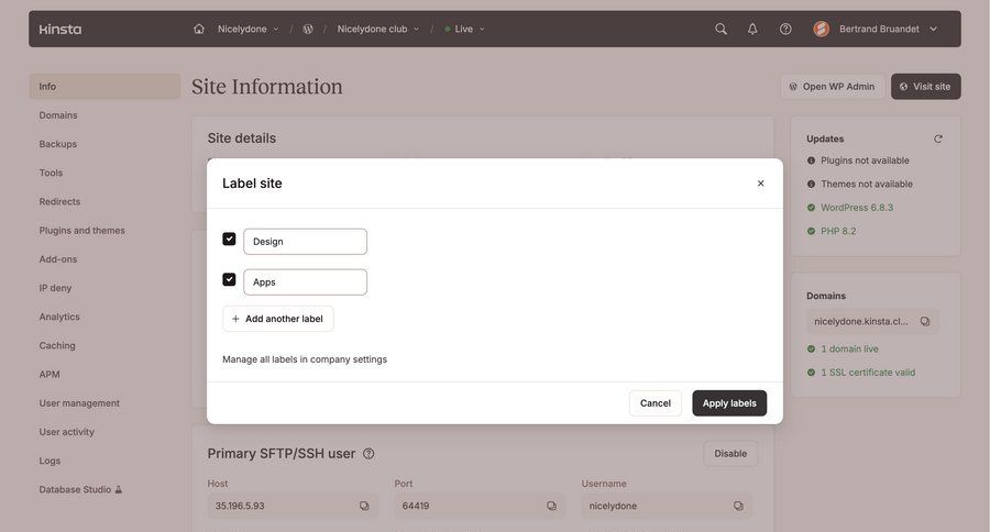 Kinsta screen example