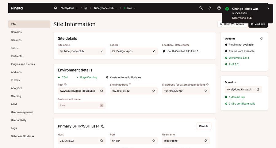 Kinsta screen example