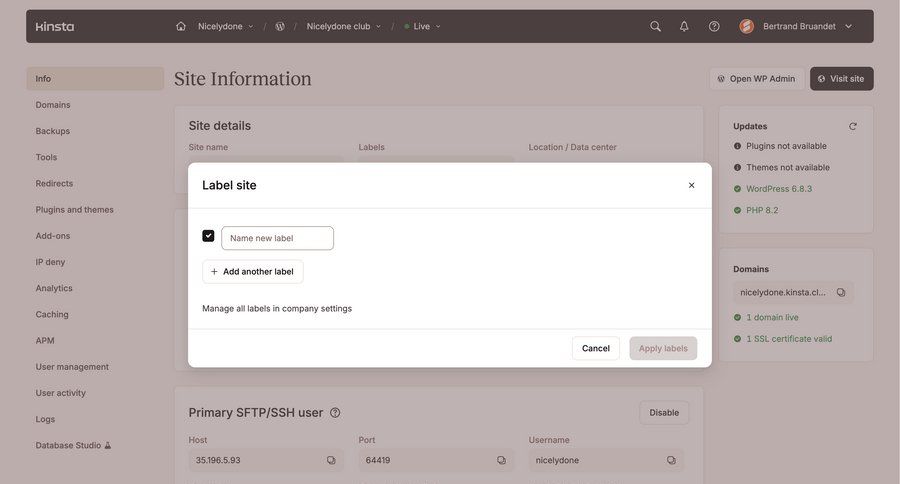 Kinsta screen example