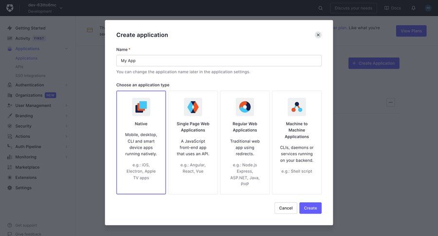 Auth0 screen example
