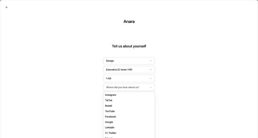 Anara screen example