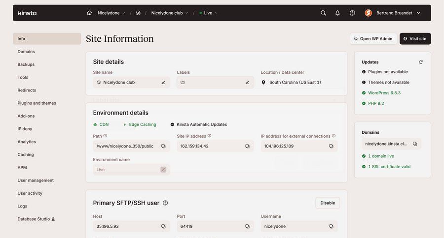 Kinsta screen example