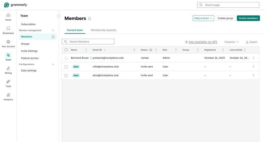 Grammarly screen example