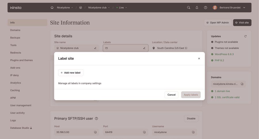 Kinsta screen example