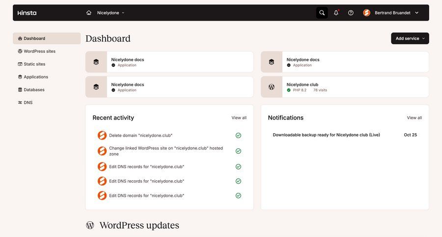 Kinsta screen example