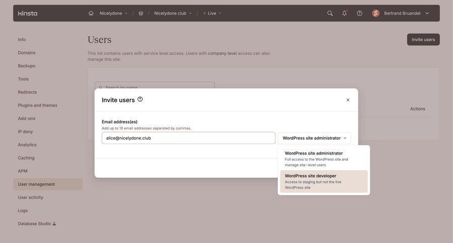 Kinsta screen example