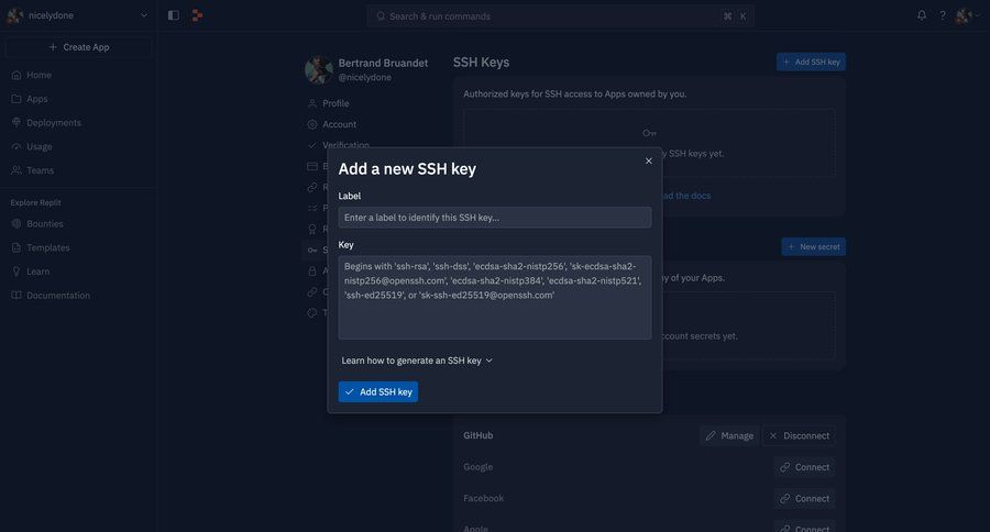 Replit
			         ux ui design