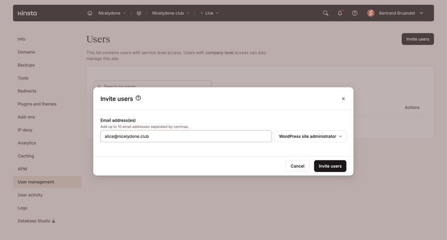 Kinsta screen example