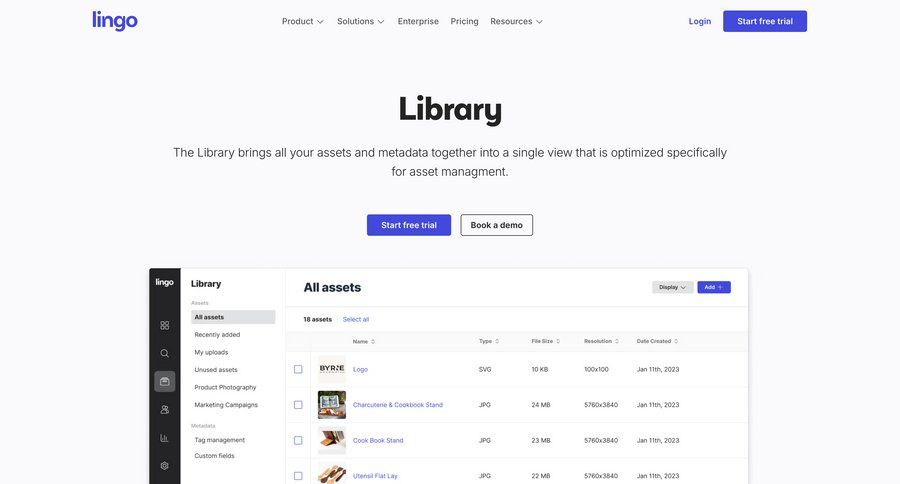 Lingo
				product page page example