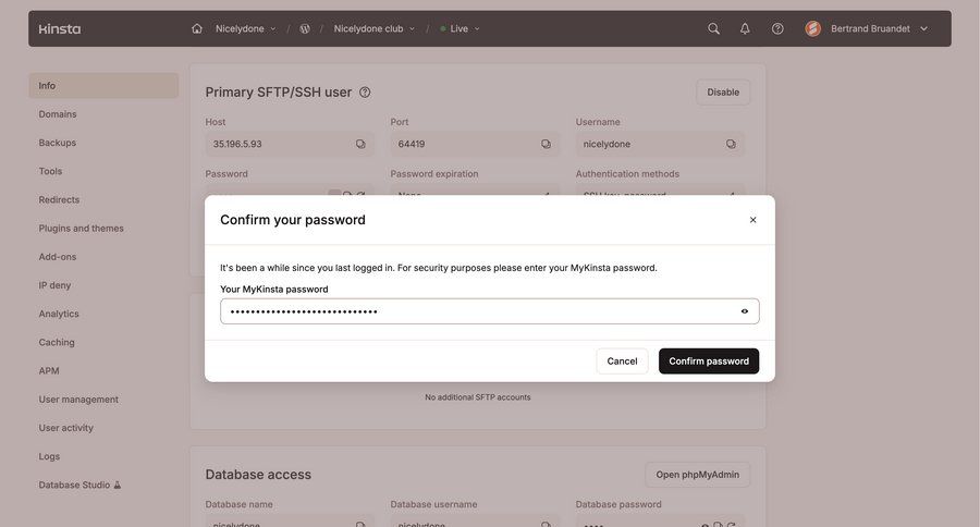 Kinsta screen example