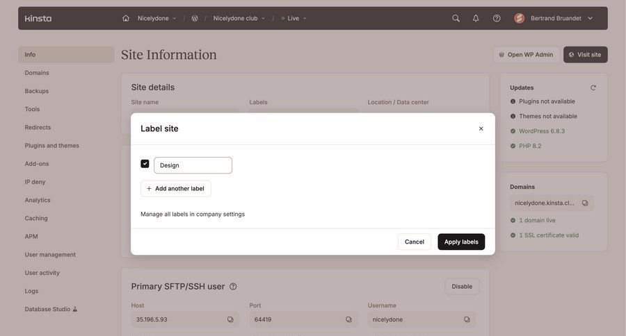 Kinsta screen example