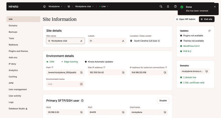 Kinsta screen example