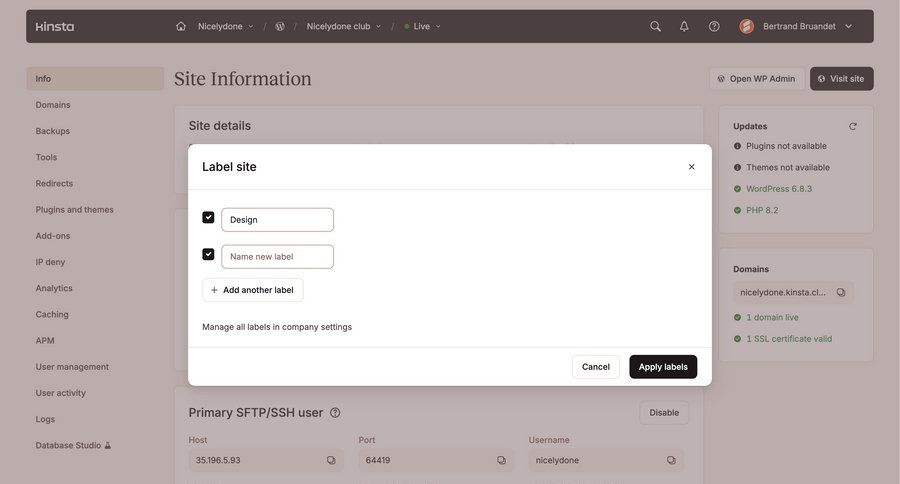 Kinsta screen example