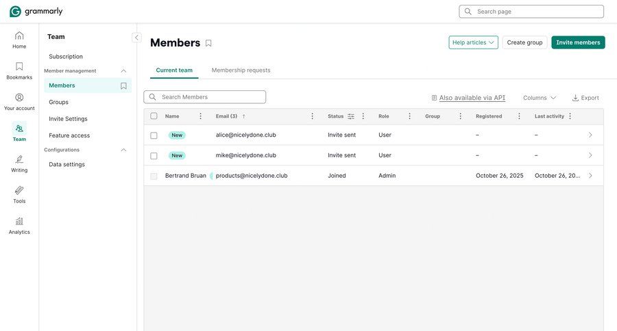 Grammarly screen example