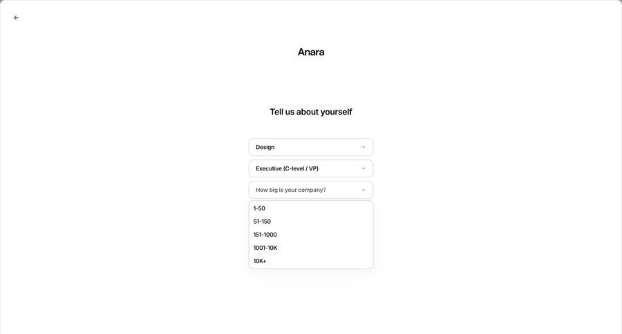 Anara screen example
