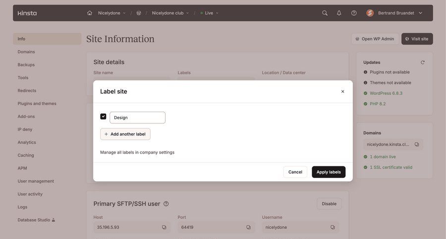 Kinsta screen example