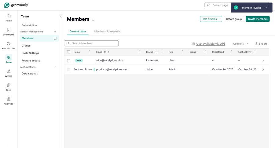 Grammarly screen example
