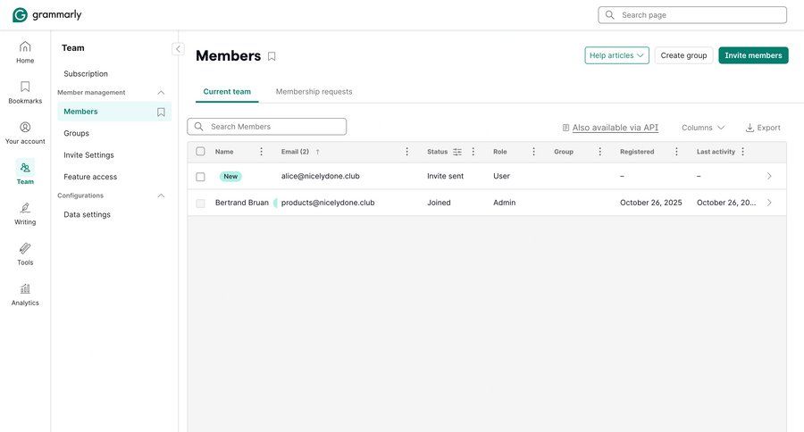 Grammarly screen example