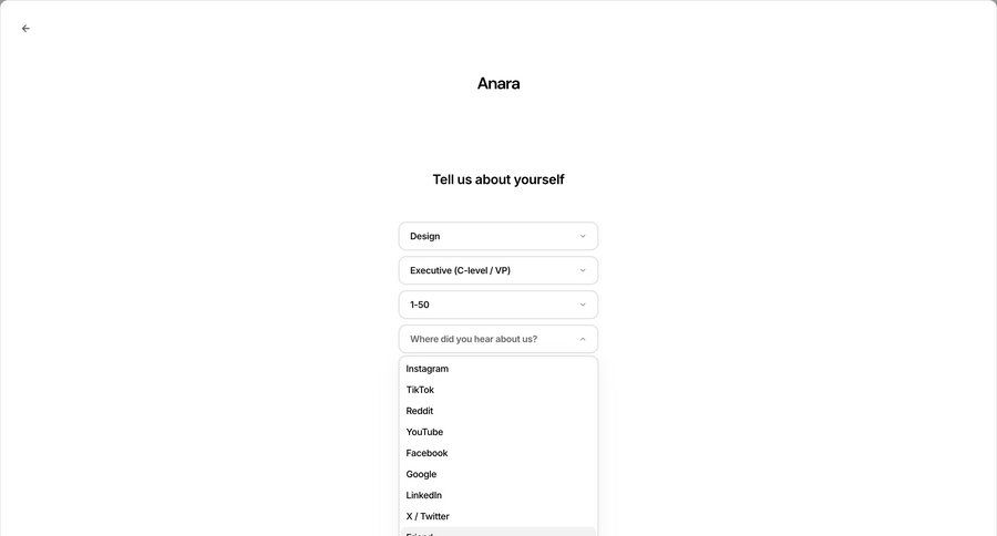 Anara screen example