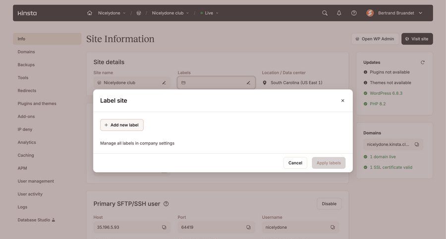 Kinsta screen example