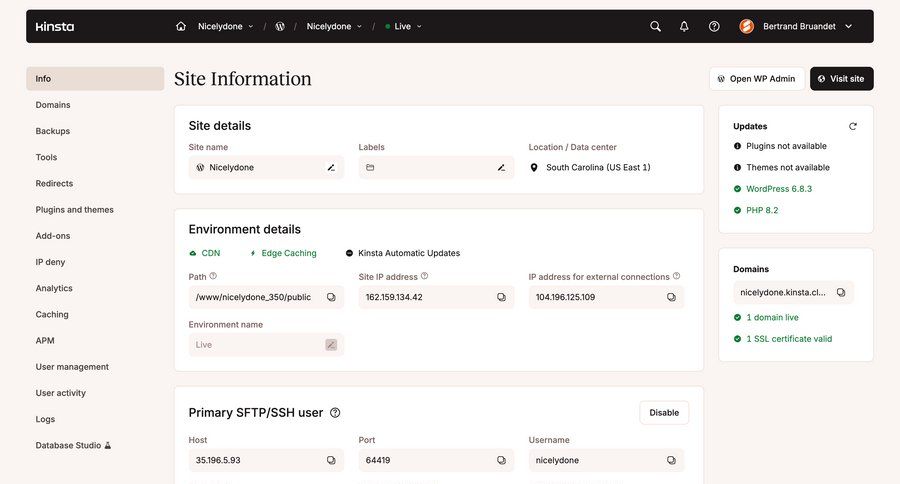 Kinsta screen example