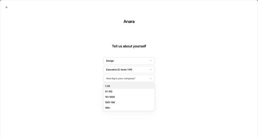 Anara screen example