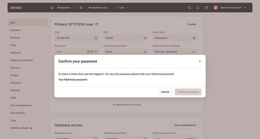 Kinsta screen example