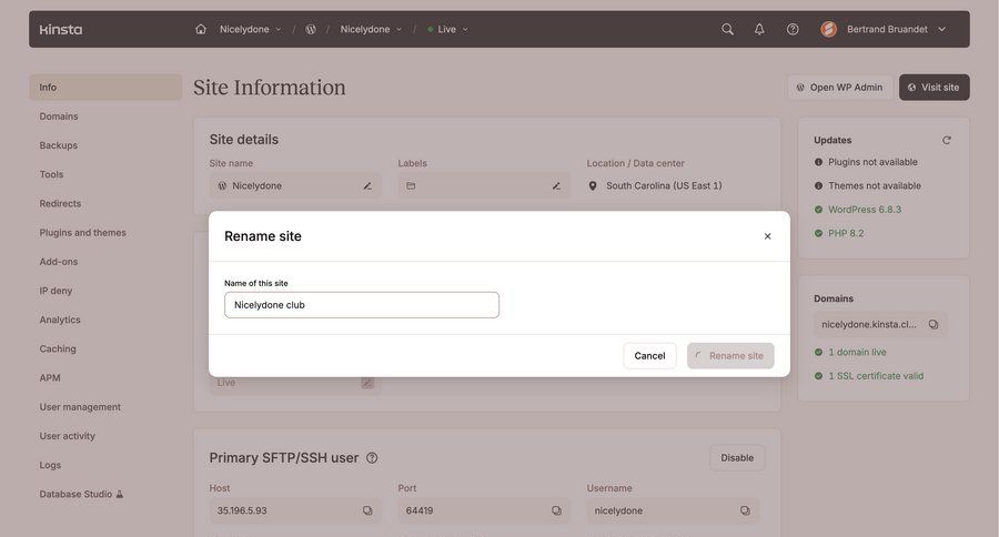 Kinsta screen example